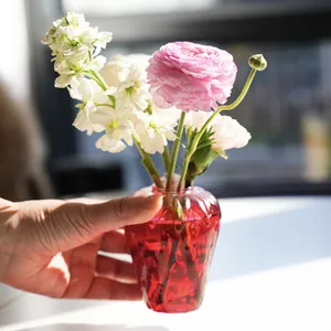 Small creative red strawberry shaped glass vase for cute indoor hydroponic decor