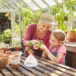 Grandmother and granddaughter observe an avocado seed sprouting in a clear glass vase.
