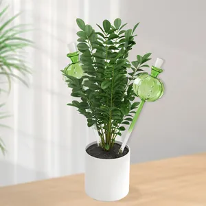 Dekorative Bewässerungskugeln aus Glas in Kaktusform für Zimmerpflanzen im Topf.