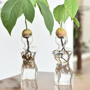Minimalist human body art glass vase for avocado pit hydroponic seed starter planting