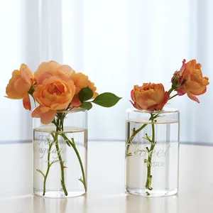 Vase de culture hydroponique en verre transparent avec lettrage blanc et roses fraîches