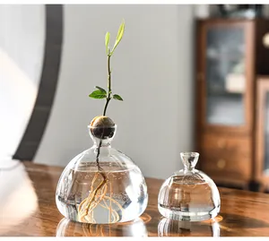Detail of avocado seed sprouting in a Japanese style hydroponic glass vase on wood table