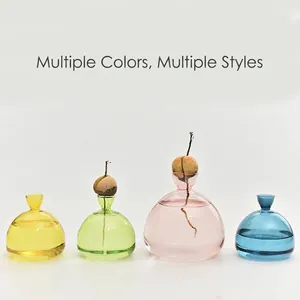 Set of colorful Japanese style avocado seed hydroponic glass vases