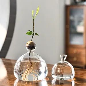 Elegant Japanese style clear glass hydroponic vase specifically designed for avocado seeds