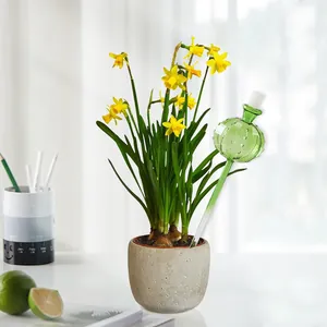 Kreative automatische Bewässerungskugel aus grünem Glas in Kaktusform für Zimmerpflanzen.
