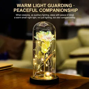 Enchanted galaxy rose in glass dome with warm LED fairy lights for romantic gifts