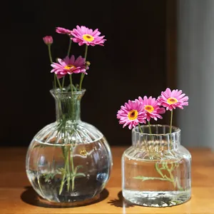 Set aus zwei gerippten Glasvasen für elegante hydroponische Blumendekorationen.