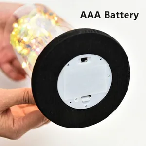 Detail view of eternal rose glass dome night light base for AAA battery power
