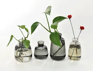 Set of minimalist Nordic smoky grey glass vases for creative hydroponic plant decor.