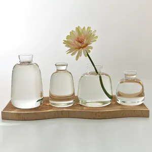 Minimalist Nordic clear glass belly vases set for hydroponic flowers and home decor