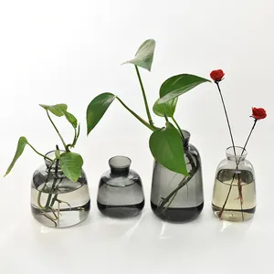 Nordic minimalist grey glass vase set for hydroponic plants and home office decoration