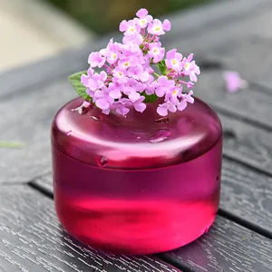 Piccolo vaso in vetro traslucido rosa e flacone per aromaterapia per decorazione scrivania