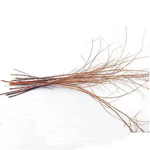 Faisceau de branches de saule des neiges pour décoration intérieure minimaliste