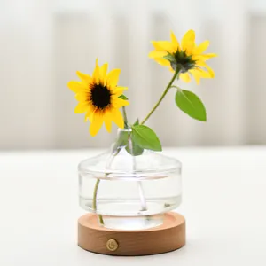 Creatieve glazen vazentafellamp met natuurlijk houten voet en USB-oplaadbaar LED-nachtlampje