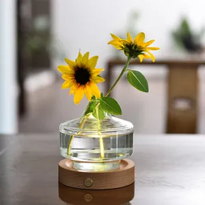 Elegante glazen hydroponische vaas nachtlampje met houten voet en warme LED-gloed