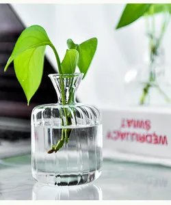Macro view of a small ribbed glass vase for minimalist desktop plant styling