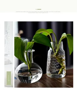 Detail showing two transparent glass vases with green plants on a wooden table.