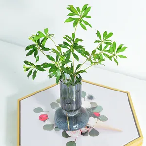 Nordic smoke gray striped glass vase for hydroponic plants and interior home decor