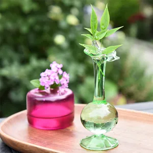 Creative ins style colorful transparent glass vases for aromatherapy and plants