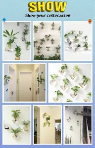 Collage of wall-mounted glass vases showing various indoor plant arrangements