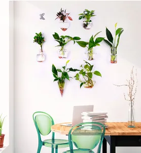Creative wall hanging glass vases for hydroponic plants in a modern home office setting