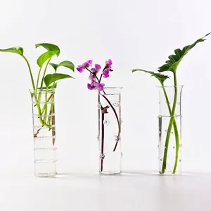 Nordische Minimalistische Transparente Borosilikatglas Vase Handgefertigte Desktop Hydrokultur Blumenbehälter Tischdeko Vase