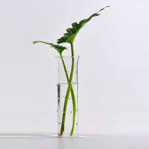 Nordische minimalistische transparente Glasvase mit Blasentextur für Hydrokulturen