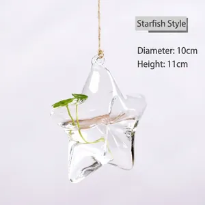 Vase en Verre Borosilicaté Créatif en Forme d'Étoile Pastorale Conteneur de Plantes Hydroponiques Suspendu Pot de Fleurs Décoratif