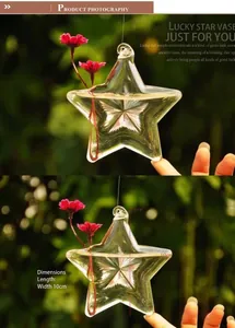 Vase en verre créatif en forme d'étoile pour plantes hydroponiques et décoration de maison
