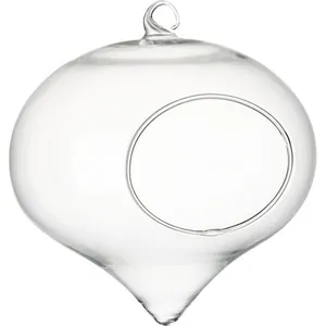 Close-up of teardrop-shaped clear glass hanging vase with side opening for plants