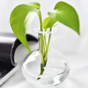 Minimalist clear glass vase with narrow neck for table hydroponic plants and flowers