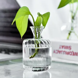 Elegant ribbed clear glass vase for hydroponic plants on a minimalist modern office desk.