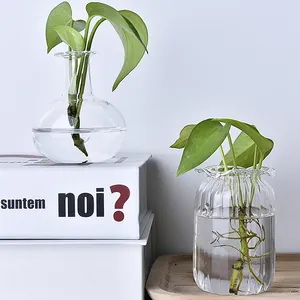 Minimalist decorative transparent glass vases for hydroponic plants and flowers
