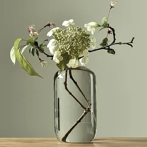 Elegant clear glass vase for minimalist Zen-style home decor with narrow mouth
