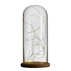 Clear glass dome cloche with wooden base and warm LED fairy lights for DIY decor