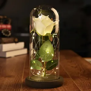 Close-up of white rose lamp in glass dome with warm LED fairy lights on wooden base