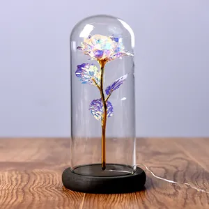 Detail view of an iridescent galaxy rose inside a clear glass dome with LED lights