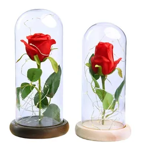 Eternal red rose in glass dome with LED string lights and wooden base decor lamp