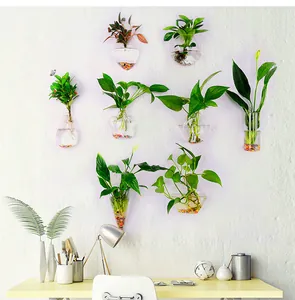 Close-up of assorted wall-mounted glass vases with green plants on a clean white wall