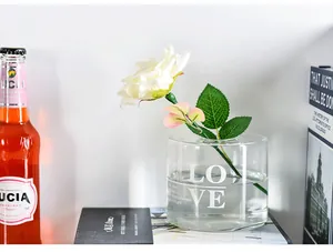 Creative cylindrical transparent glass vase with LOVE letter print for home decor.