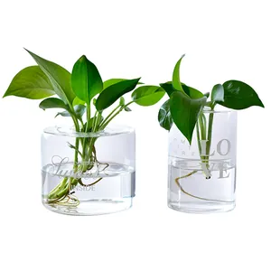 Minimalist transparent glass hydroponic vases decorated with elegant English text
