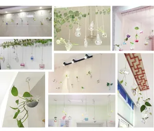 Collage detallado de jarrones de vidrio colgantes para hidroponía y decoración de interiores