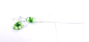 Detailed macro view of a handmade glass dip pen with green floral interior pattern