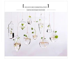 Juego de diez jarrones de vidrio colgantes para decoración de plantas hidropónicas