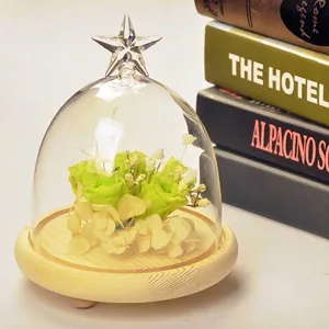 Star Top High Borosilicate Glass Dome With Wooden Base Creative Landscape Jar For Home Office Gift Decoration