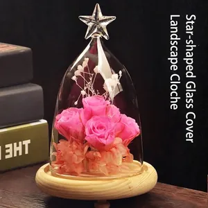 Detailed view of the star-shaped glass dome with vibrant pink preserved roses inside