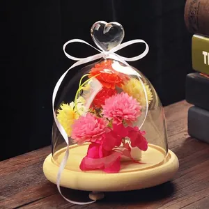 Creative Heart Handle Glass Dome with Wood Base Transparent Micro Landscape Display Vase for Home Decoration Accessories