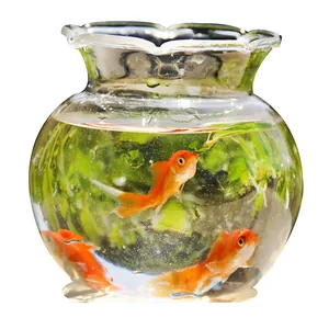 Mini transparenter Glasfischglas und Hydrokulturvase für elegante Schreibtischdekoration
