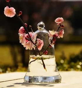 Primer plano de un moderno jarrón hidropónico de cristal transparente con flores
