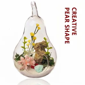 Detail view of a creative pear-shaped glass terrarium with micro landscape plants